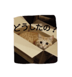 ta-chiku（個別スタンプ：3）