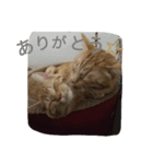 ta-chiku（個別スタンプ：7）