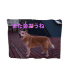 無愛想犬のスタンプその2（個別スタンプ：7）