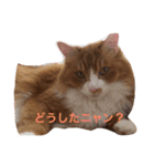 naruo5（個別スタンプ：3）