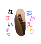 naruo5（個別スタンプ：5）