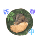 naruo5（個別スタンプ：13）