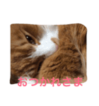 naruo5（個別スタンプ：15）