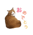 naruo5（個別スタンプ：19）