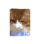 naruo5（個別スタンプ：22）