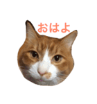 naruo5（個別スタンプ：23）