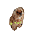 Daradarainu（個別スタンプ：7）