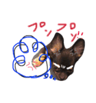 チワワのこむぎちゃん（個別スタンプ：1）