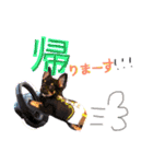 チワワのこむぎちゃん（個別スタンプ：5）