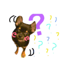 チワワのこむぎちゃん（個別スタンプ：6）