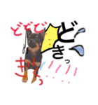 チワワのこむぎちゃん（個別スタンプ：7）