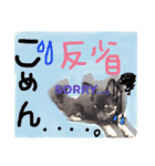 チワワのこむぎちゃん（個別スタンプ：14）
