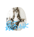ハーレムとブルックリン（個別スタンプ：6）