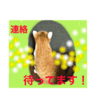 ニャンタ vol.4（個別スタンプ：2）