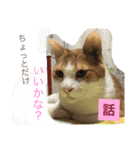 ニャンタ vol.4（個別スタンプ：3）