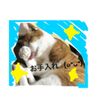 ニャンタ vol.4（個別スタンプ：9）
