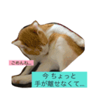 ニャンタ vol.4（個別スタンプ：15）