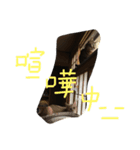 ゆずとでん（個別スタンプ：1）