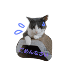 kotetsumugi！（個別スタンプ：1）