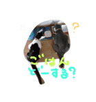 kotetsumugi！（個別スタンプ：3）