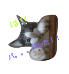 kotetsumugi！（個別スタンプ：11）