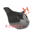 kotetsumugi！（個別スタンプ：13）