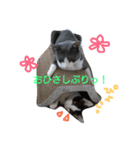 kotetsumugi！（個別スタンプ：25）
