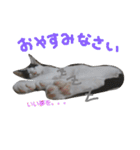 kotetsumugi！（個別スタンプ：27）