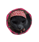lovelymycat.s（個別スタンプ：3）