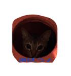 lovelymycat.s（個別スタンプ：7）
