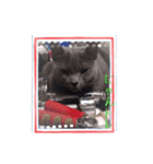 lovelymycat.s（個別スタンプ：8）