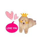 buddy golden（個別スタンプ：4）