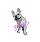 mi shiou（個別スタンプ：5）