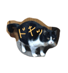 Melmo 2（個別スタンプ：4）