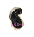 Melmo 2（個別スタンプ：5）