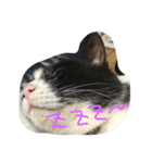 Melmo 2（個別スタンプ：8）