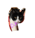 Melmo 2（個別スタンプ：13）