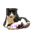 Melmo 2（個別スタンプ：14）