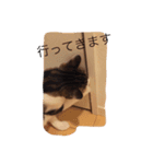 choco stamp 2（個別スタンプ：3）
