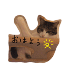 choco stamp 2（個別スタンプ：7）