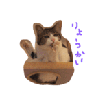 choco stamp 2（個別スタンプ：14）