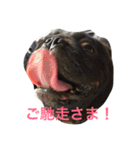 ボクはペコだよ❣️（個別スタンプ：13）