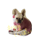 麦ちゃん（個別スタンプ：2）
