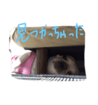 麦ちゃん（個別スタンプ：8）