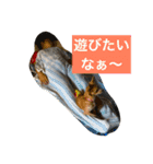 くーちゃんとあそぼ^_^（個別スタンプ：2）