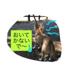 くーちゃんとあそぼ^_^（個別スタンプ：5）