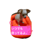 くーちゃんとあそぼ^_^（個別スタンプ：7）