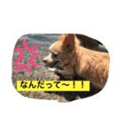 くーちゃんとあそぼ^_^（個別スタンプ：8）