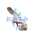 家族のとある日（個別スタンプ：4）