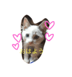 家族のとある日（個別スタンプ：6）